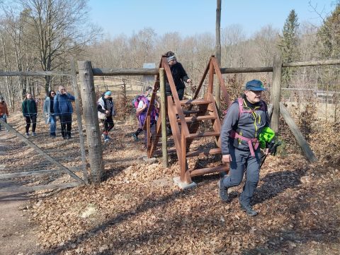 Wycieczka w Góry Stołowe s43 - PTTK Strzelin