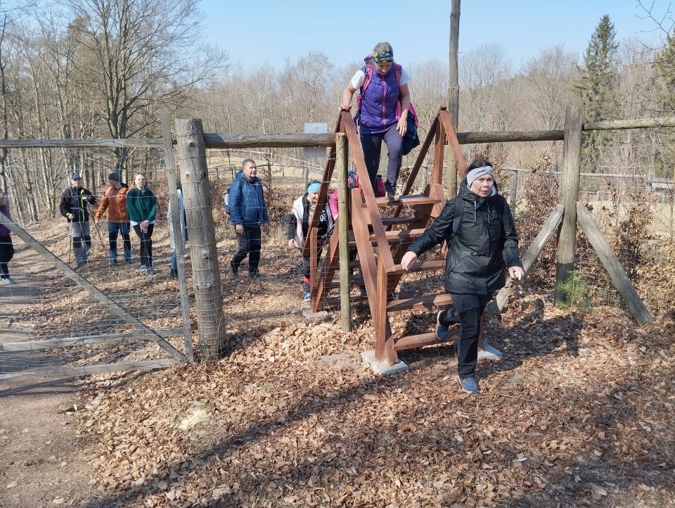 Wycieczka w Góry Stołowe s003 - PTTK Strzelin