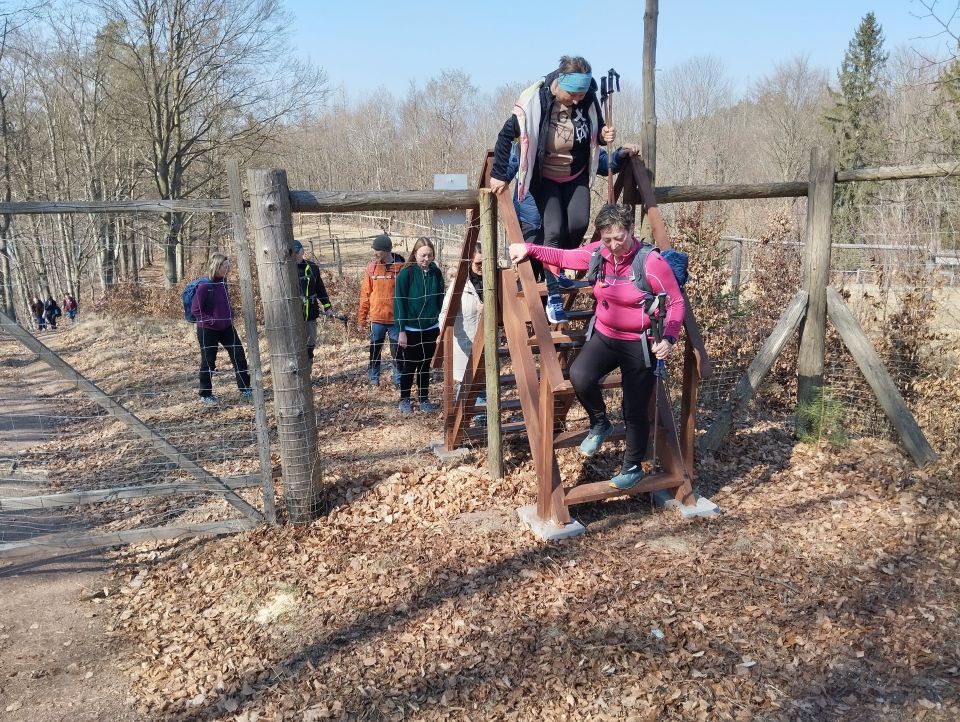 Wycieczka w Góry Stołowe s003 - PTTK Strzelin