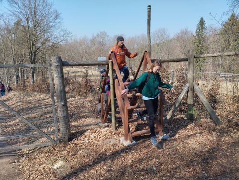 Wycieczka w Góry Stołowe s47 - PTTK Strzelin