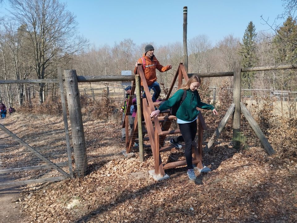 Wycieczka w Góry Stołowe s003 - PTTK Strzelin