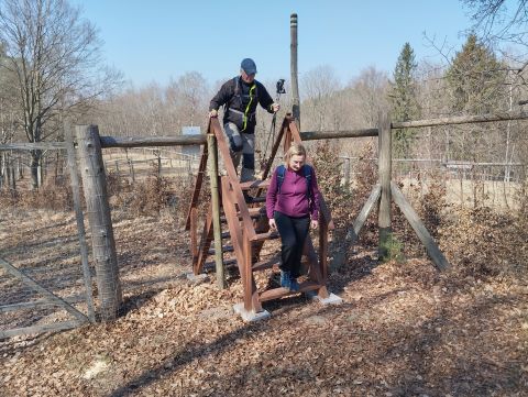 Wycieczka w Góry Stołowe s48 - PTTK Strzelin