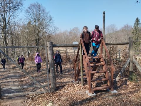 Wycieczka w Góry Stołowe s49 - PTTK Strzelin