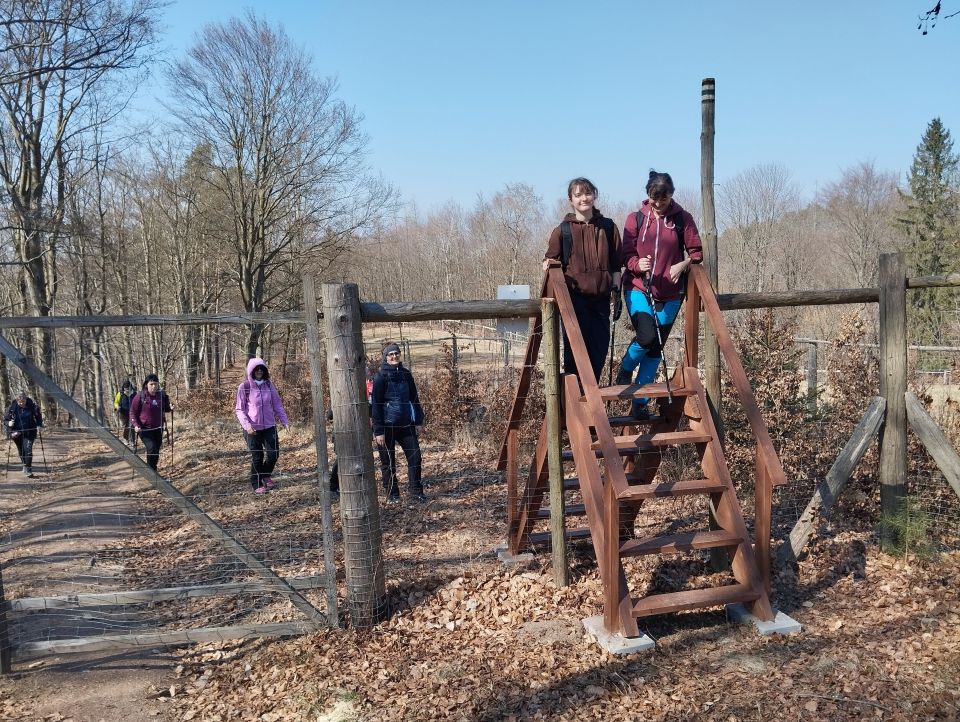 Wycieczka w Góry Stołowe s003 - PTTK Strzelin