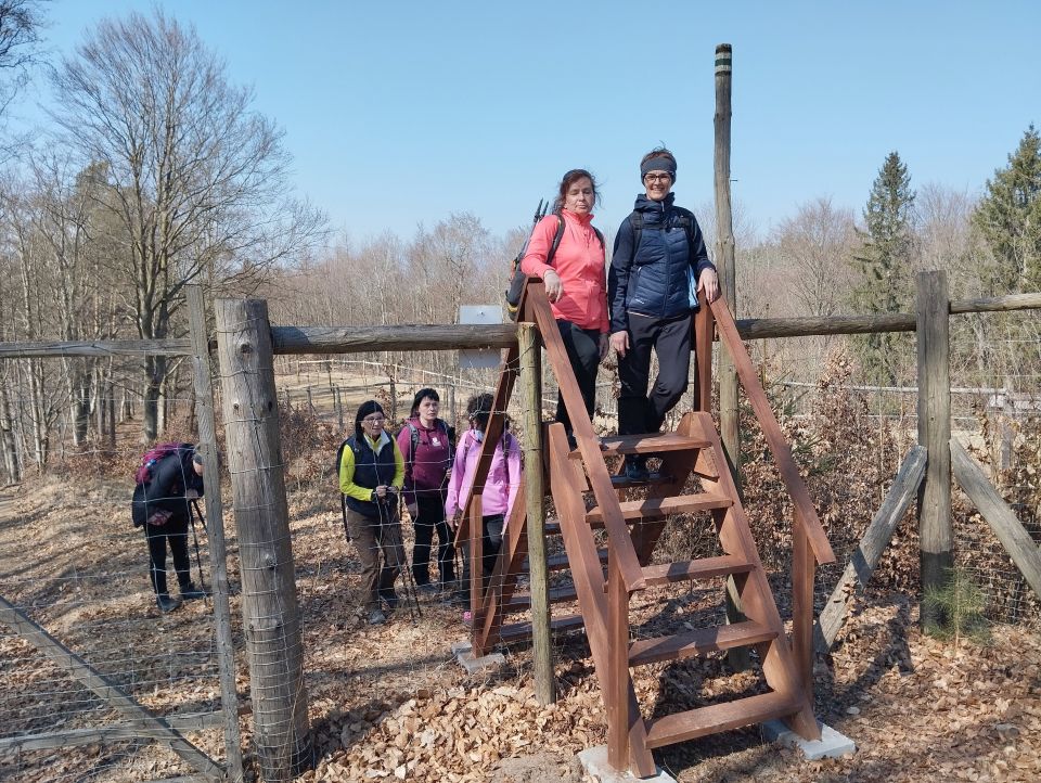 Wycieczka w Góry Stołowe s003 - PTTK Strzelin