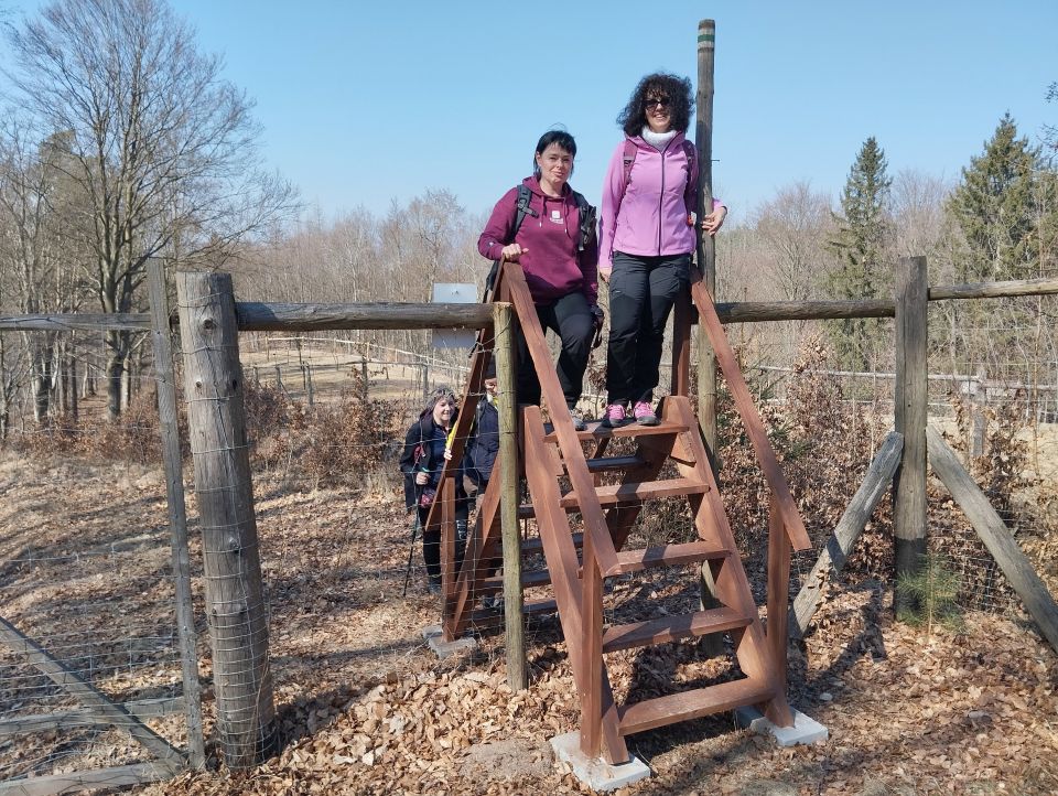 Wycieczka w Góry Stołowe s003 - PTTK Strzelin