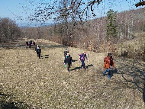 Wycieczka w Góry Stołowe s54 - PTTK Strzelin