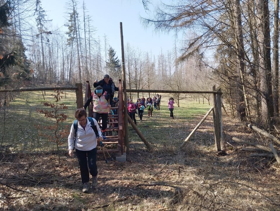 Wycieczka w Góry Stołowe s003 - PTTK Strzelin