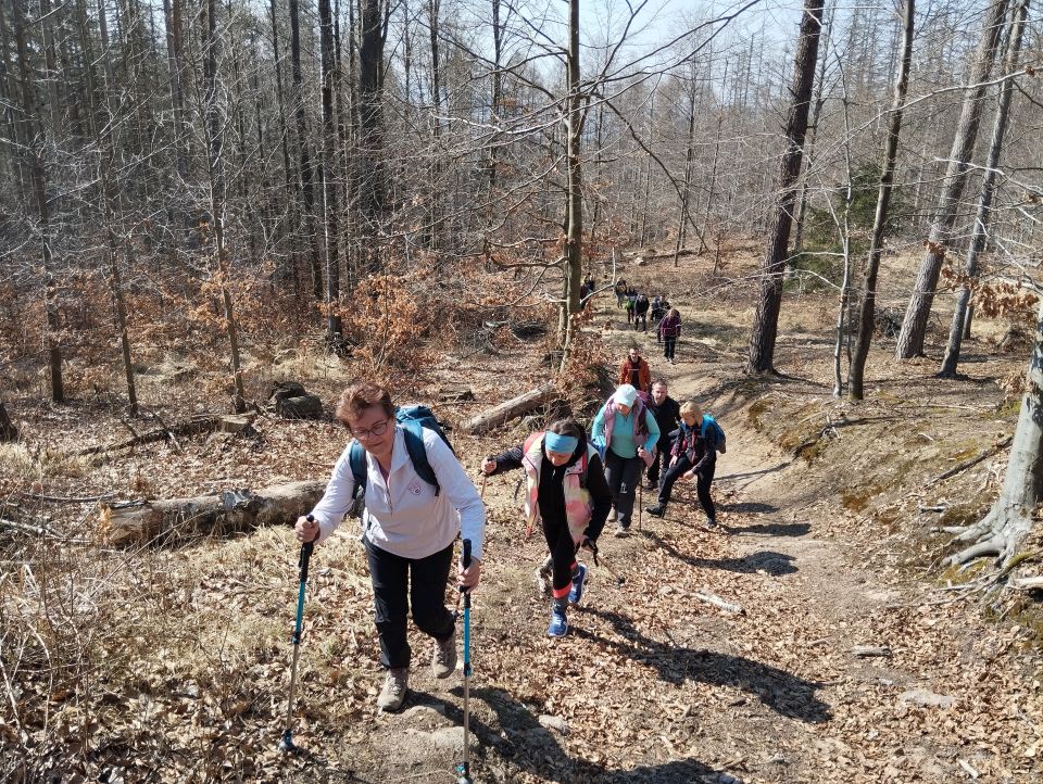 Wycieczka w Góry Stołowe s003 - PTTK Strzelin