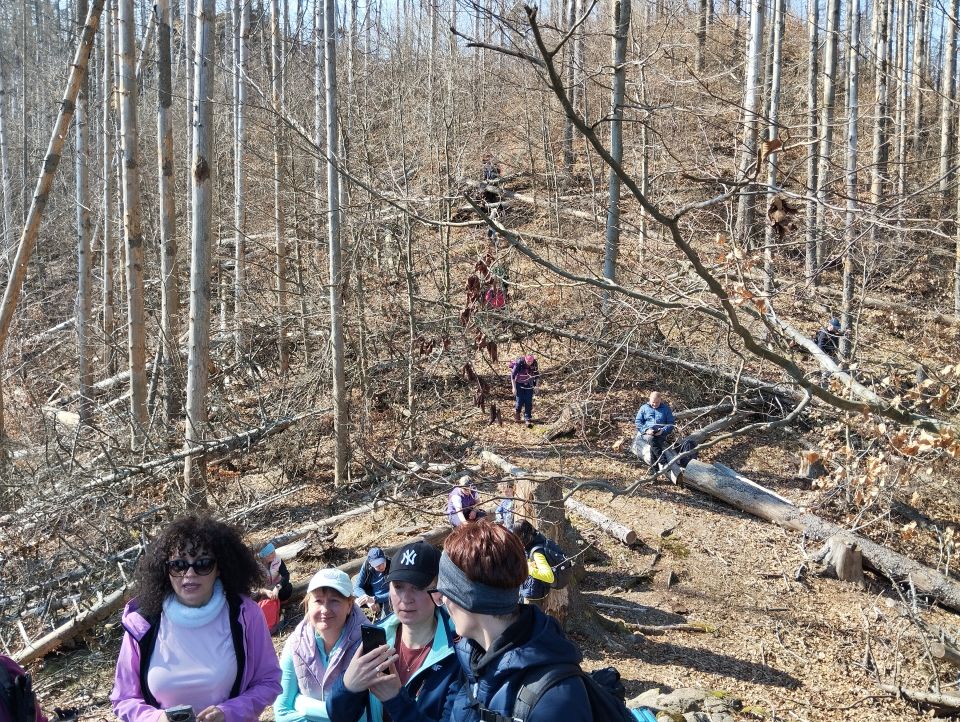 Wycieczka w Góry Stołowe s003 - PTTK Strzelin