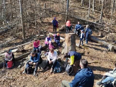 Wycieczka w Góry Stołowe s68 - PTTK Strzelin