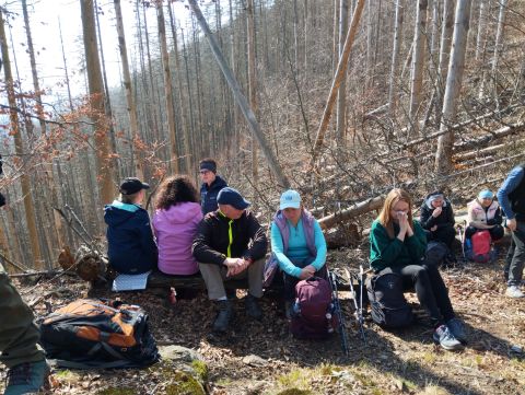 Wycieczka w Góry Stołowe s71 - PTTK Strzelin