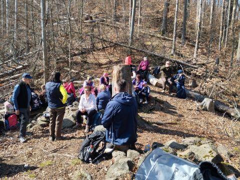 Wycieczka w Góry Stołowe s72 - PTTK Strzelin