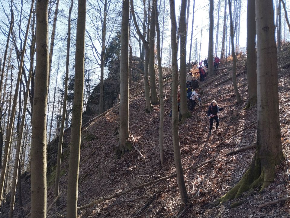 Wycieczka w Góry Stołowe s003 - PTTK Strzelin