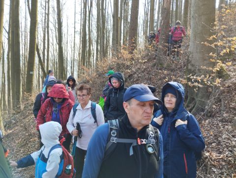 Wycieczka w Góry Stołowe s74 - PTTK Strzelin