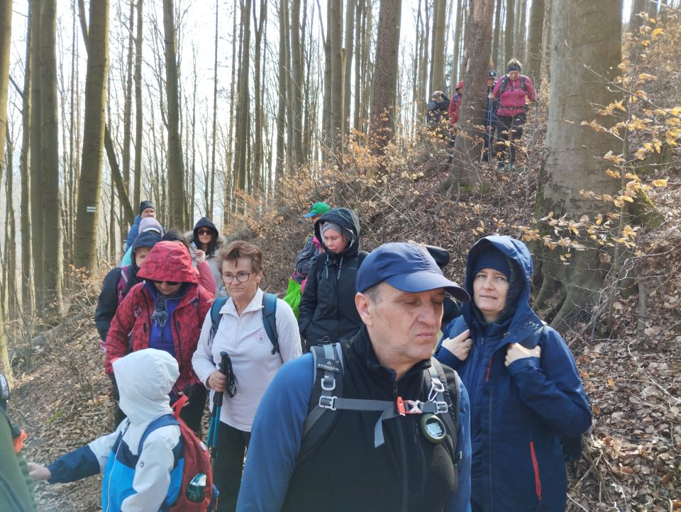 Wycieczka w Góry Stołowe s003 - PTTK Strzelin