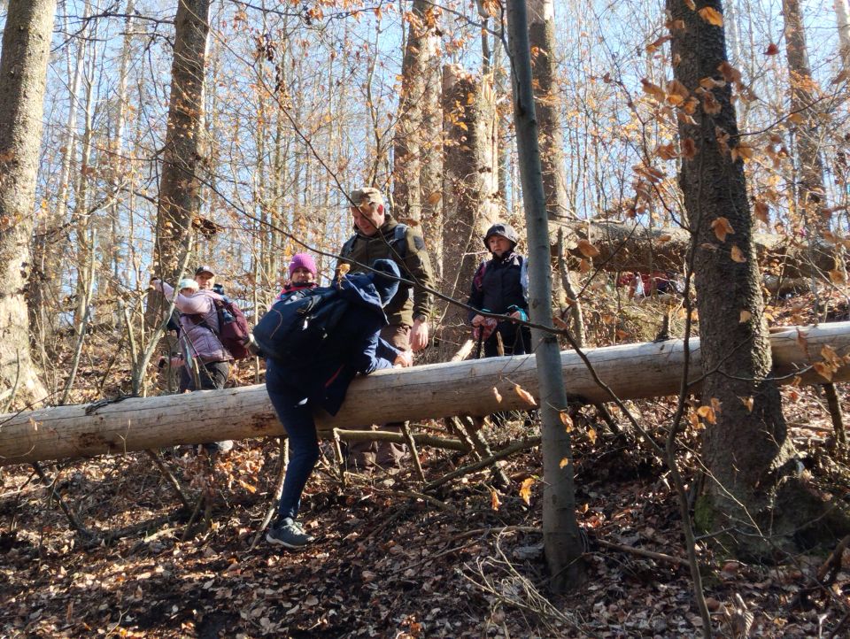 Wycieczka w Góry Stołowe s003 - PTTK Strzelin