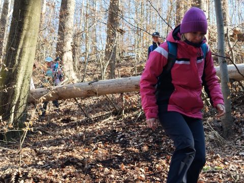 Wycieczka w Góry Stołowe s77 - PTTK Strzelin