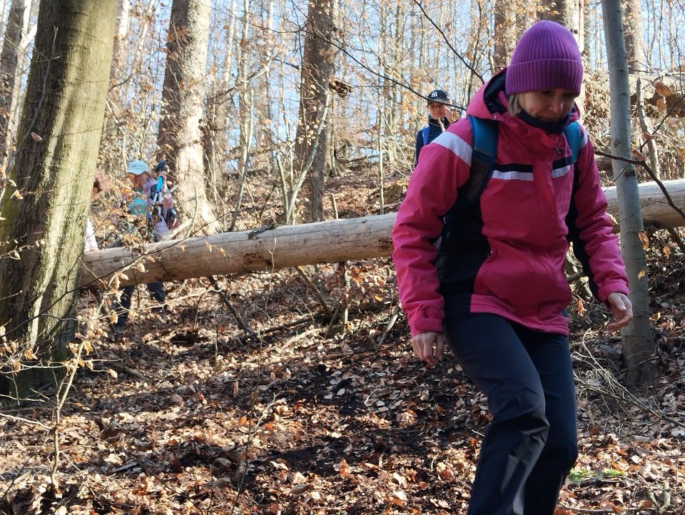 Wycieczka w Góry Stołowe s003 - PTTK Strzelin