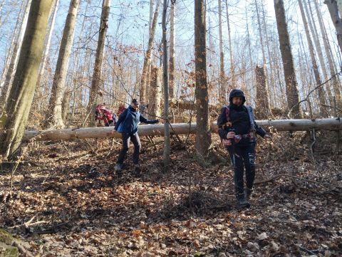 Wycieczka w Góry Stołowe s78 - PTTK Strzelin