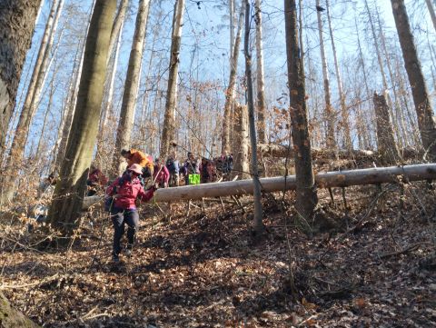 Wycieczka w Góry Stołowe s79 - PTTK Strzelin