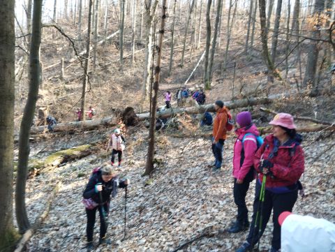 Wycieczka w Góry Stołowe s81 - PTTK Strzelin