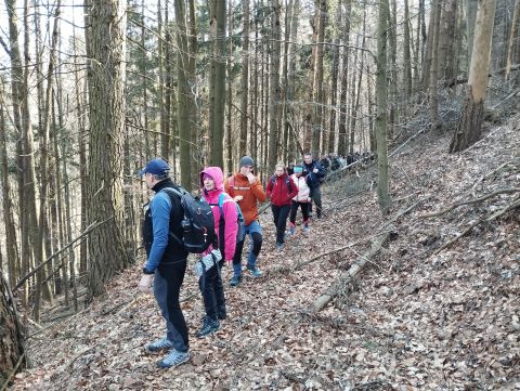 Wycieczka w Góry Stołowe s82 - PTTK Strzelin