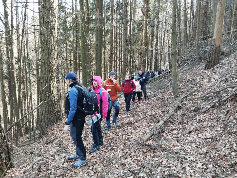 Wycieczka w Góry Stołowe s003 - PTTK Strzelin