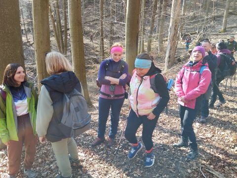 Wycieczka w Góry Stołowe s84 - PTTK Strzelin