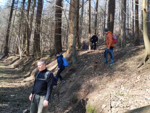 Wycieczka w Góry Stołowe s87 - PTTK Strzelin