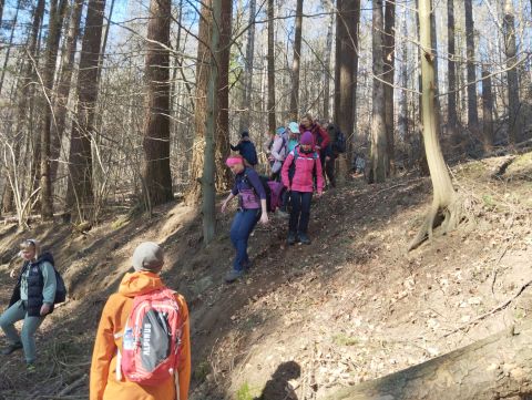 Wycieczka w Góry Stołowe s89 - PTTK Strzelin