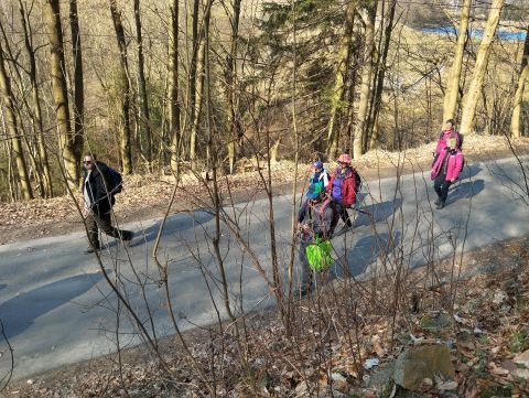 Wycieczka w Góry Stołowe s96 - PTTK Strzelin