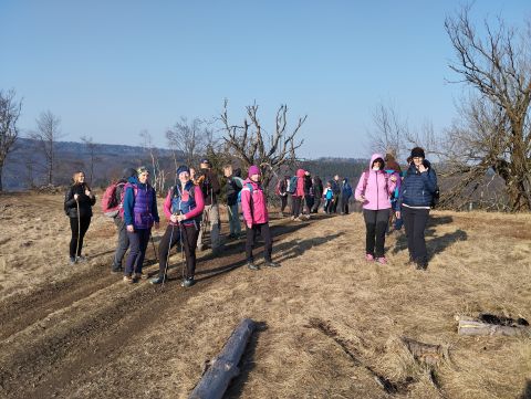 Wycieczka w Góry Stołowe s115 - PTTK Strzelin