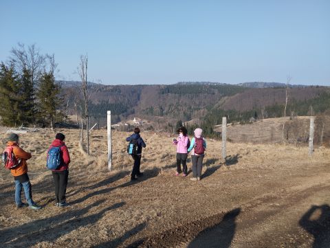 Wycieczka w Góry Stołowe s117 - PTTK Strzelin