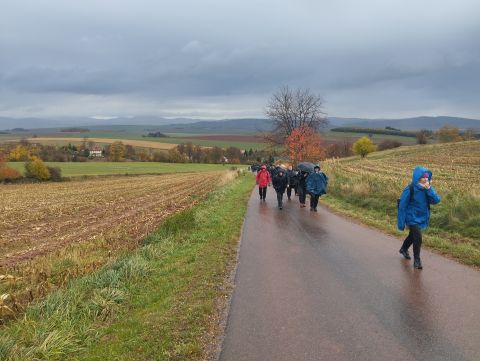 Wycieczka w Góry Stołowe s16 - PTTK Strzelin