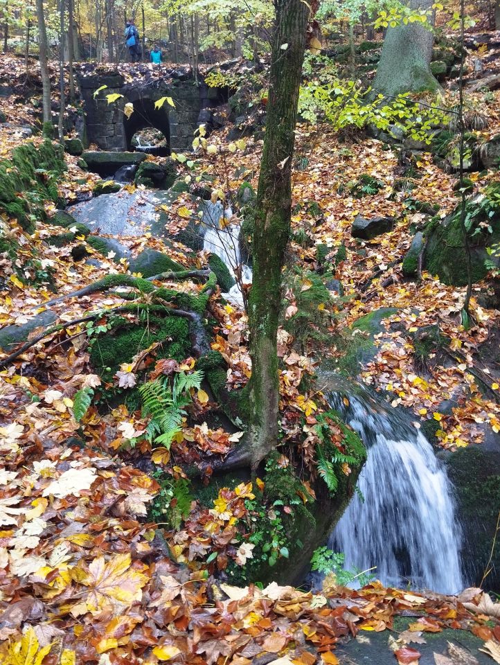 Wycieczka w Góry Stołowe s003 - PTTK Strzelin