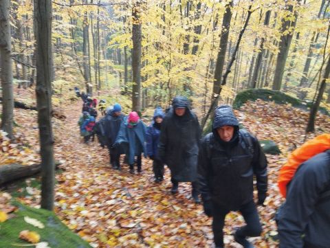 Wycieczka w Góry Stołowe s34 - PTTK Strzelin