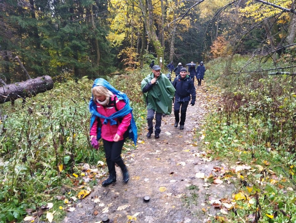 Wycieczka w Góry Stołowe s003 - PTTK Strzelin