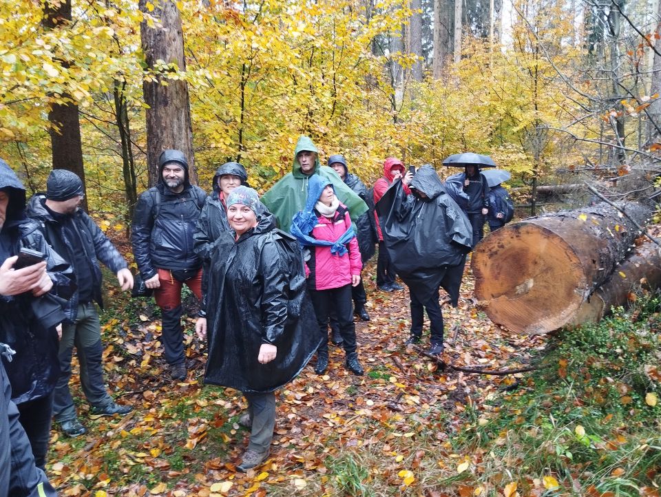 Wycieczka w Góry Stołowe s003 - PTTK Strzelin