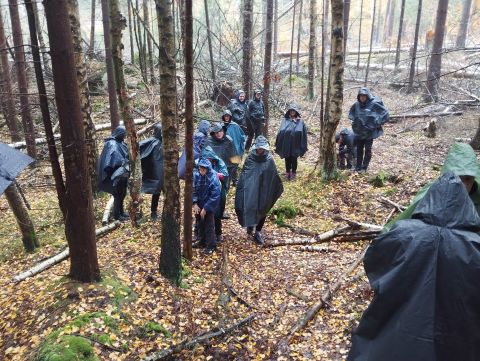 Wycieczka w Góry Stołowe s44 - PTTK Strzelin