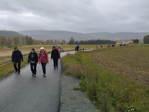 Wycieczka w Góry Stołowe m20 - PTTK Strzelin