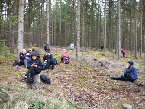 Wycieczka w Góry Stołowe m24 - PTTK Strzelin