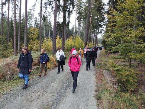 Wycieczka w Góry Stołowe m27 - PTTK Strzelin