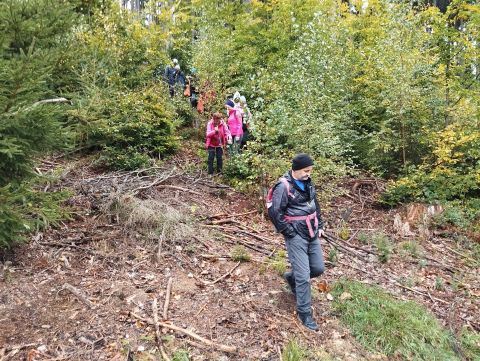 Wycieczka w Góry Stołowe m43 - PTTK Strzelin