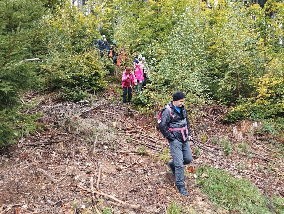 Wycieczka w Góry Stołowe dz43 - PTTK Strzelin