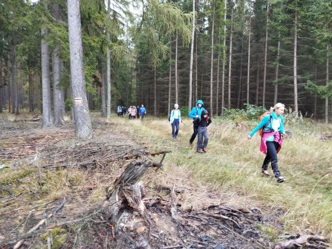 Wycieczka w Góry Stołowe m53 - PTTK Strzelin