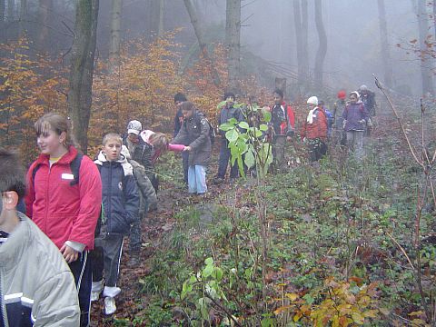 G�ry Sto�owe - �cie�ka skalnej rze�by