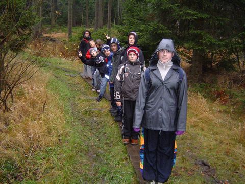 W drodze do Kar�owa