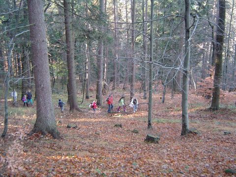 Podej�cie z Prze��czy Polskie Wrota na Zamek Homole