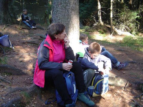 G�ry Sto�owe - Skalne Grzyby